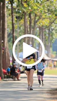 BIB:  <button type="button" onclick="openModal(27616036)" class="btn btn-primary btn-sm float-right" data-toggle="modal" data-target=".modal-high-quality">
                <i class="fa fa-download"></i> Download
                </button>